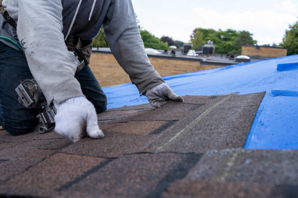 Best Roof Maintenance Services  in East Vineland, NJ